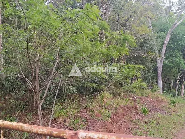 Chácara com 9868m² 3 quartos e 1 banheiro, à venda, no bairro Tibagi em Alto do Amparo