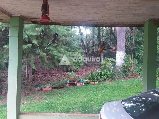 Chácara com 9868m² 3 quartos e 1 banheiro, à venda, no bairro Tibagi em Alto do Amparo