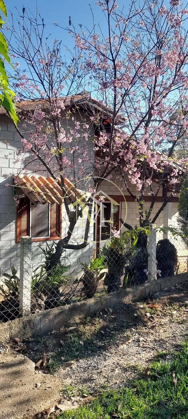 Chácara, 3 quartos, 944 m² - Foto 4