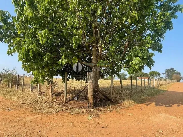 Chácara com 24200m², para alugar, no bairro Boa Vista em Artur Nogueira