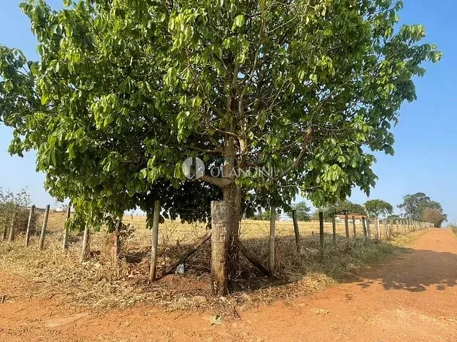 Chácara com 24200m², para alugar, no bairro Boa Vista em Artur Nogueira