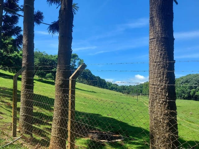 Foto do Chácara - Campo Largo, Jardim Florestal, chácara 22.088m², casa com varanda, lago, cercada, próximo do asfalto, à venda, PR | Imobiliária GreenVille