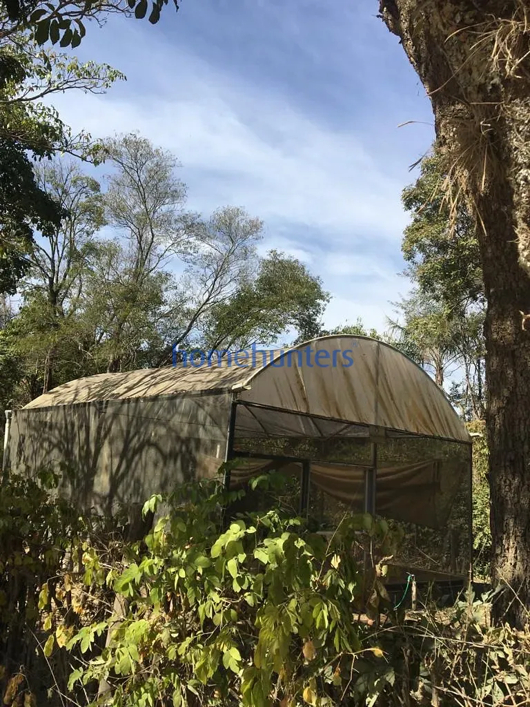Chácara, 5 quartos, 2 hectares - Foto 15
