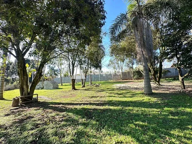 Terreno com 2000m², à venda, no bairro Colônia Dona Luíza em Ponta Grossa