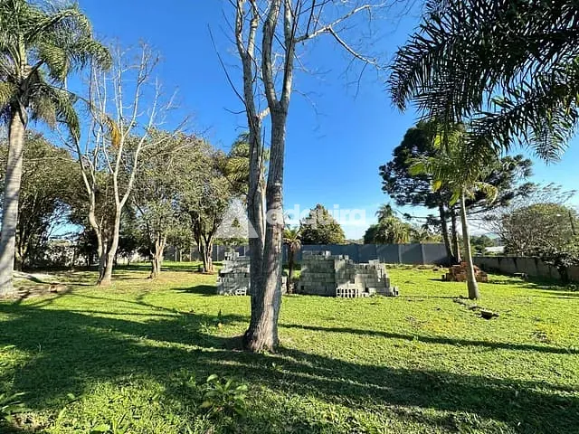 Terreno com 2000m², à venda, no bairro Colônia Dona Luíza em Ponta Grossa