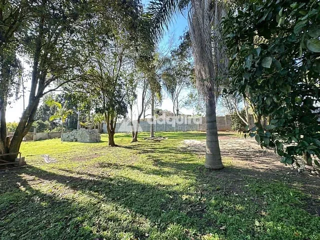 Terreno com 2000m², à venda, no bairro Colônia Dona Luíza em Ponta Grossa