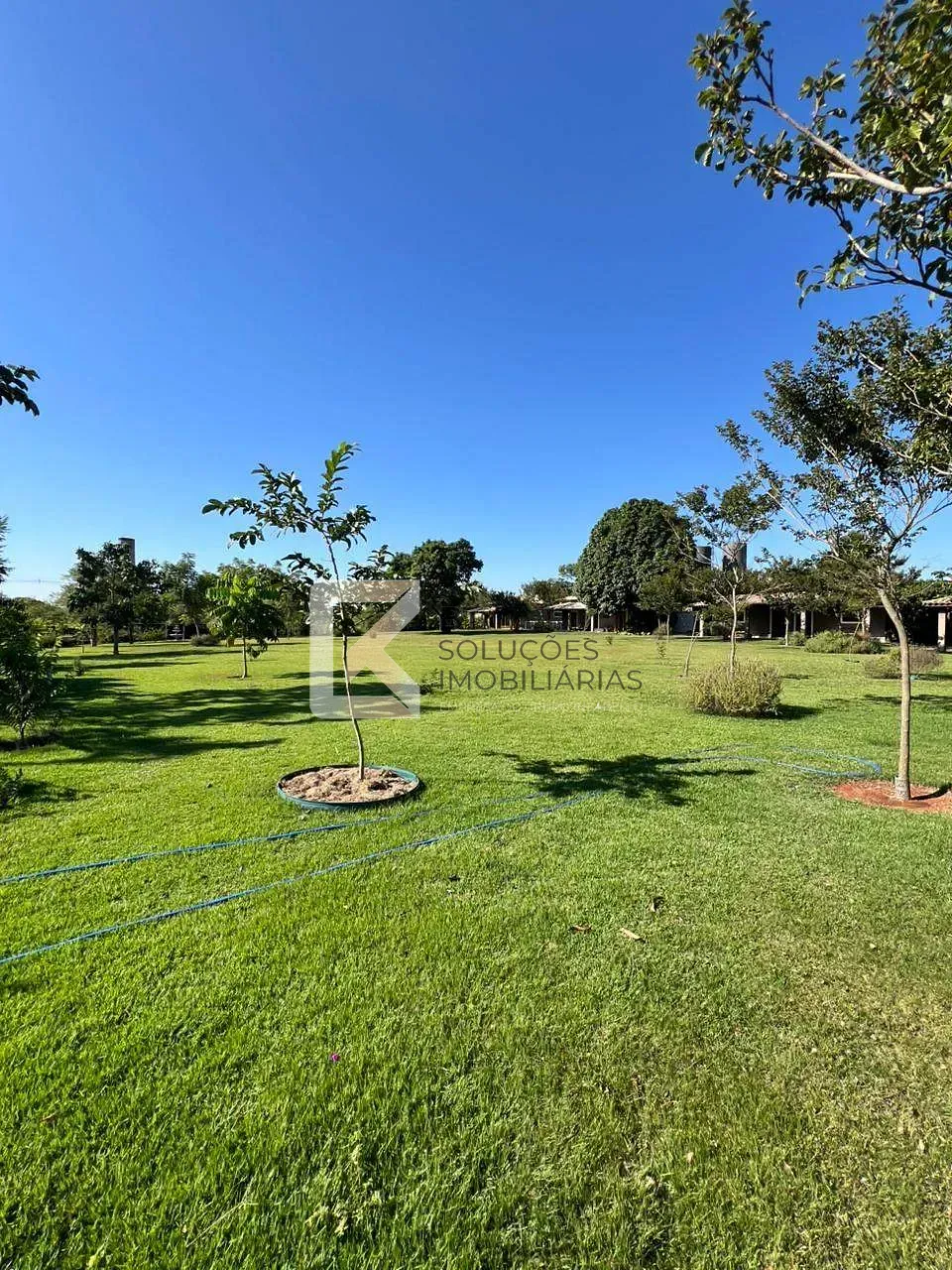 Chácara, 10 quartos, 1 hectares - Foto 16