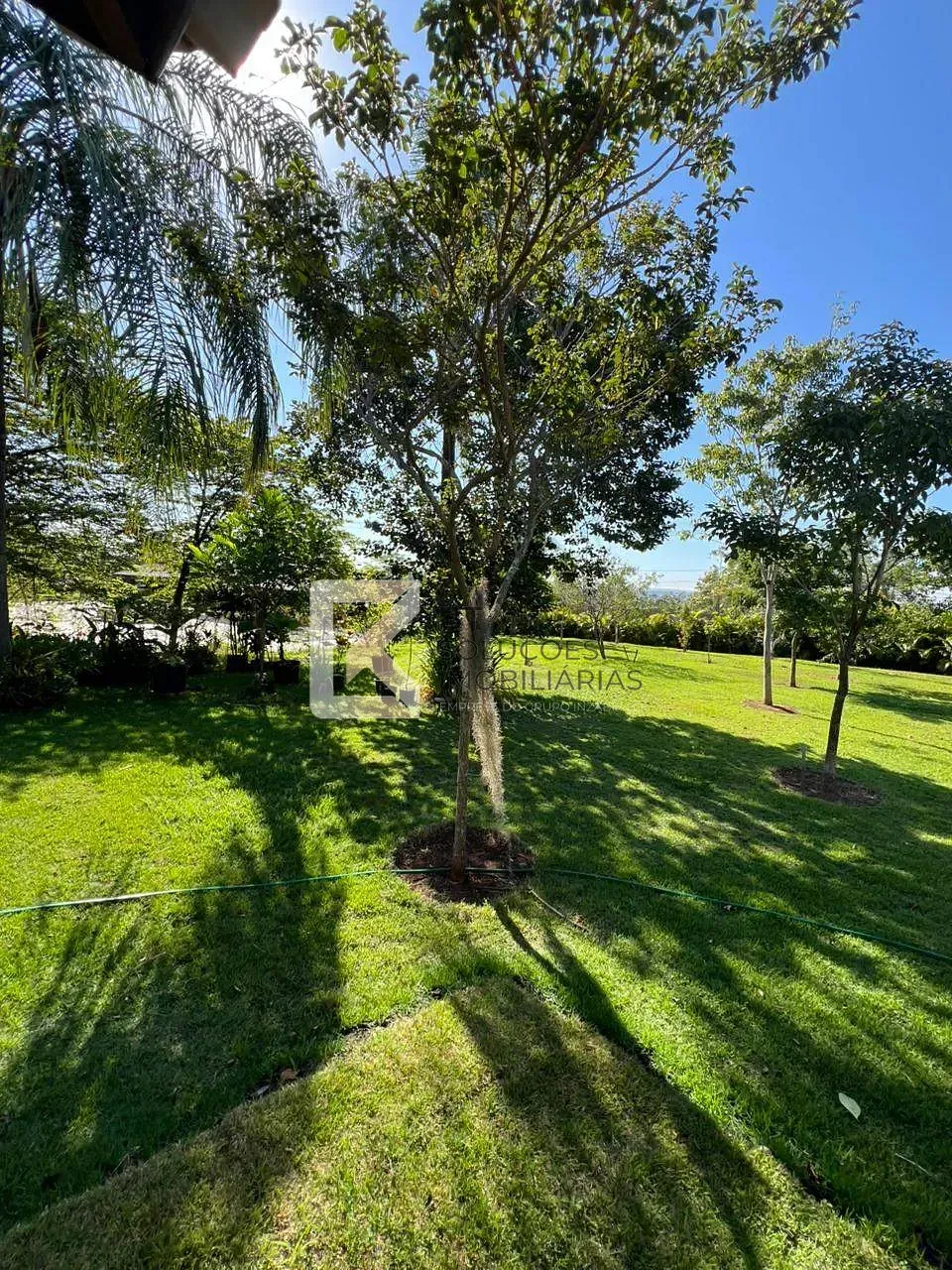 Chácara, 10 quartos, 1 hectares - Foto 100