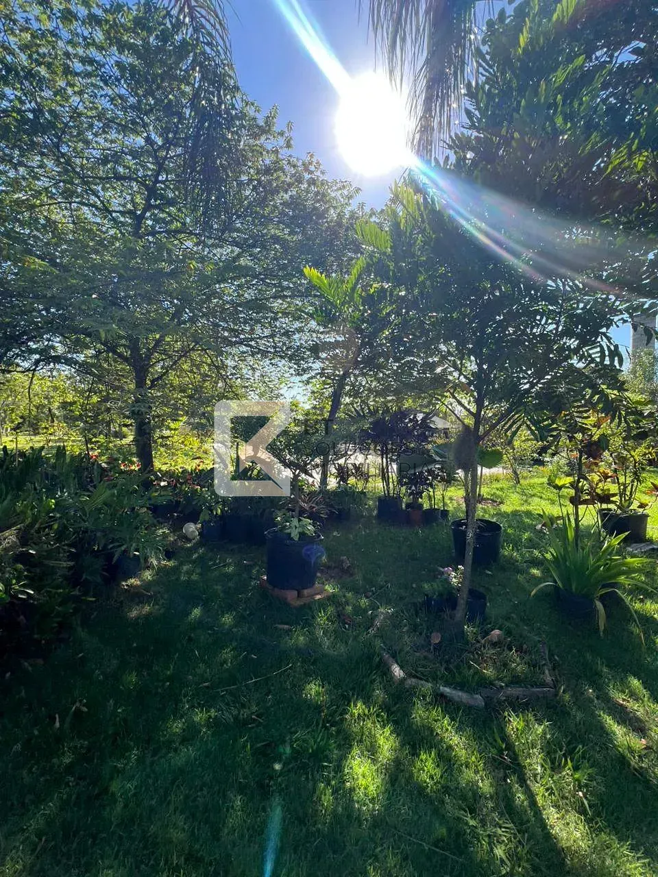 Chácara, 10 quartos, 1 hectares - Foto 109
