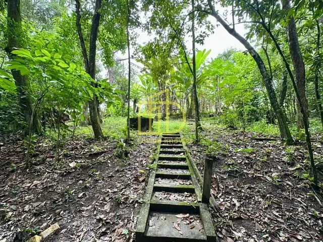 Chácara com 25000m² 4 quartos e 2 banheiros, à venda, no bairro Itinga em Sorocaba