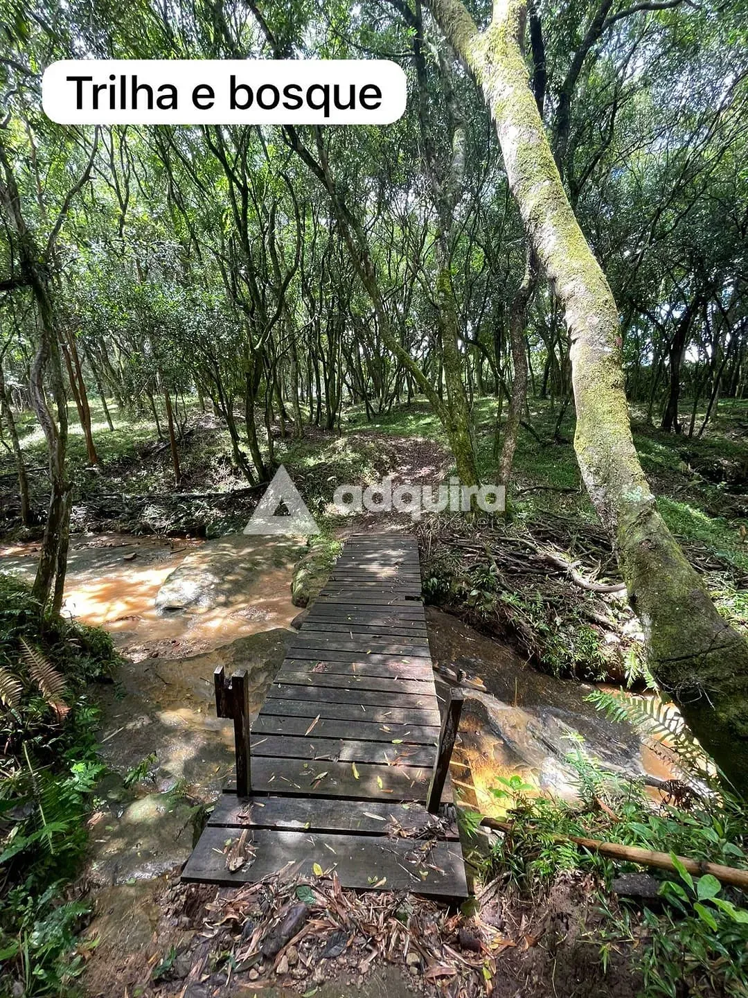 Terreno, 850 m² - Foto 2