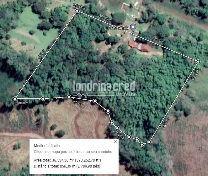 Sítio, 1 quarto, 3 hectares - Foto 4