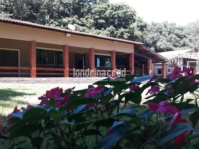Chácara com 33271m², à venda, no bairro Zona Rural em Assaí
