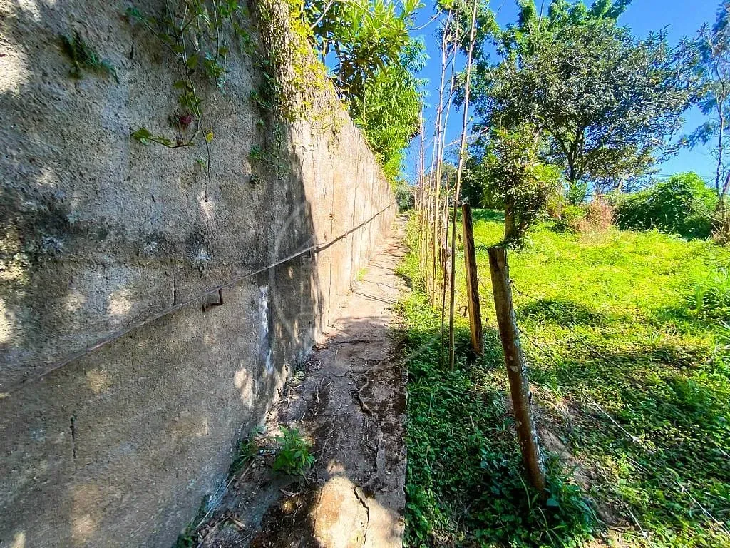 Sítio, 4 quartos, 5470 m² - Foto 6