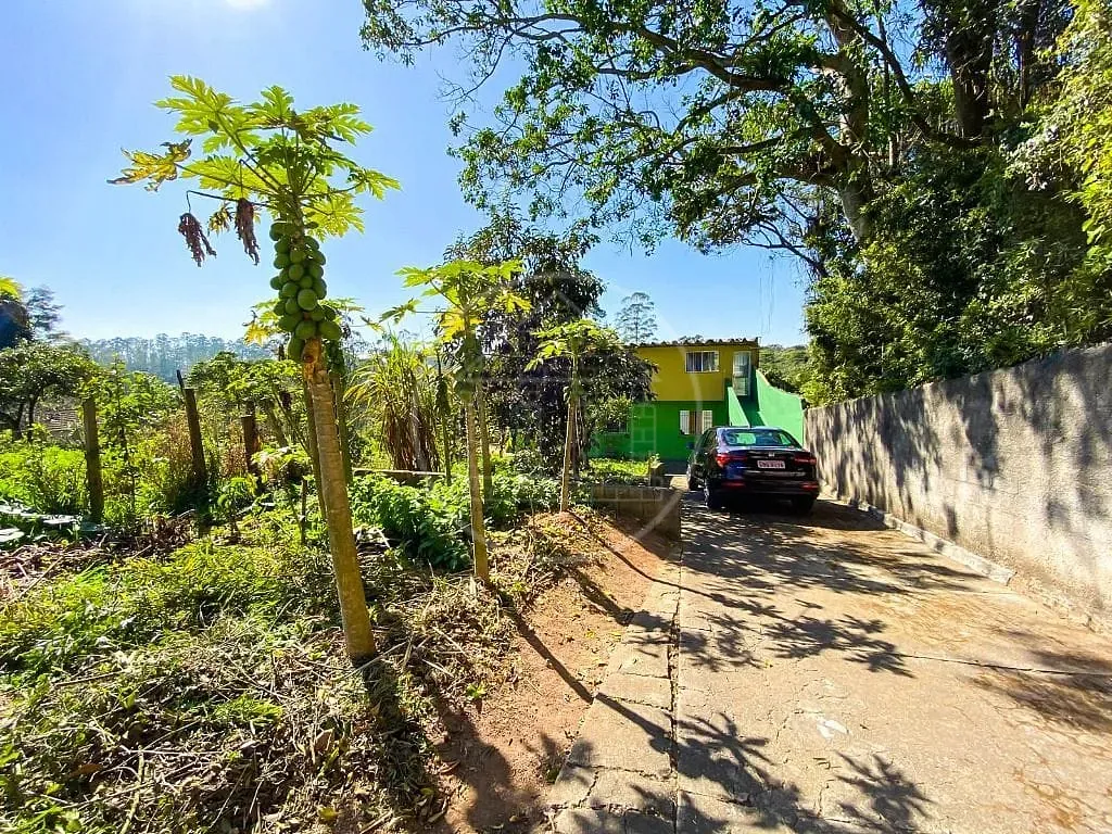 Sítio, 4 quartos, 5470 m² - Foto 38