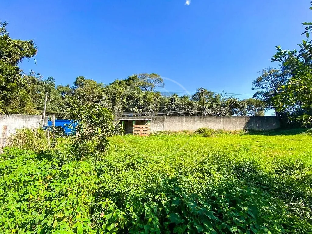 Sítio, 4 quartos, 5470 m² - Foto 12
