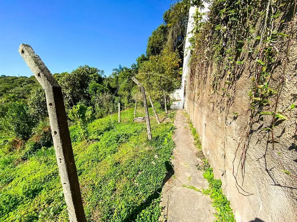 Sítio, 4 quartos, 5470 m² - Foto 10