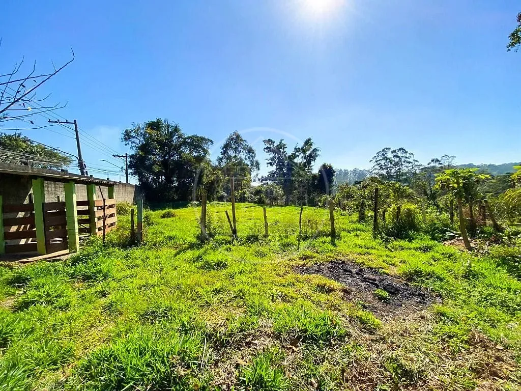 Sítio, 4 quartos, 5470 m² - Foto 39