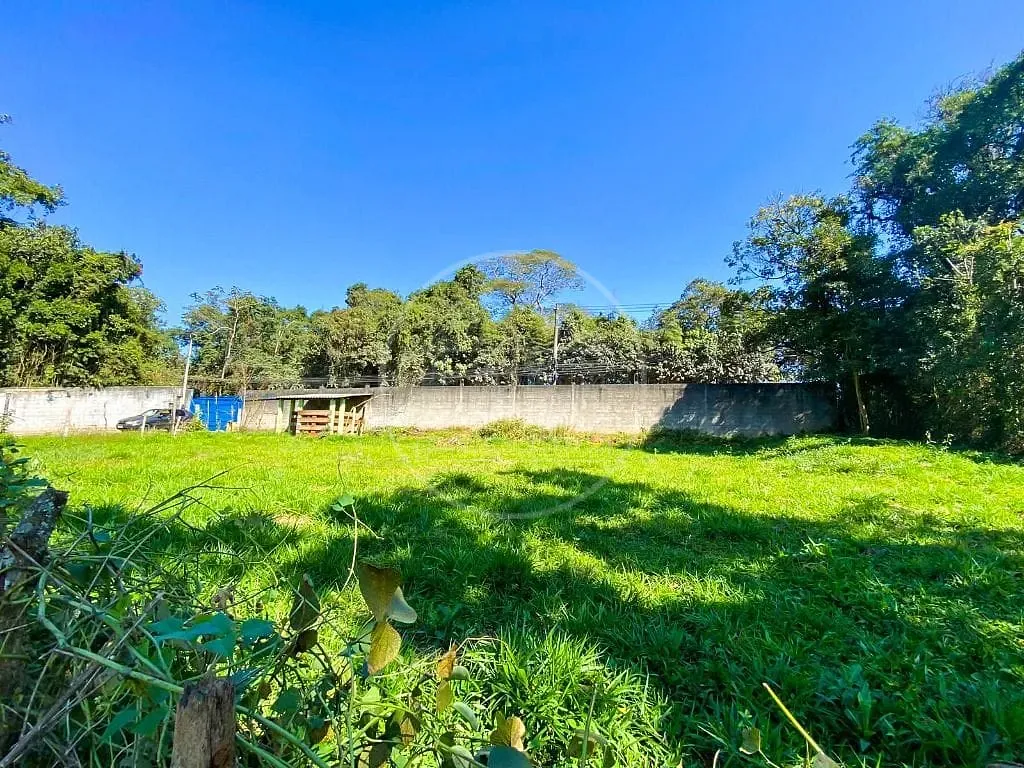 Sítio, 4 quartos, 5470 m² - Foto 15