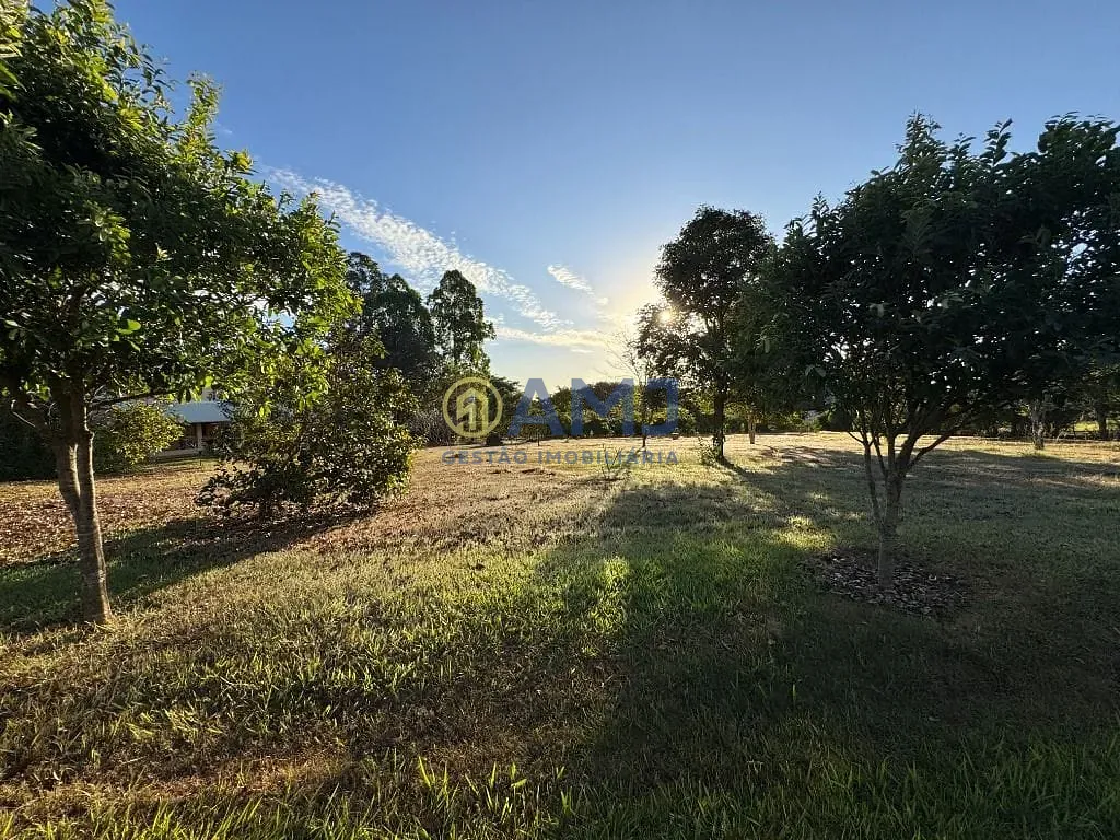 Sítio, 4 quartos, 5053 m² - Foto 13