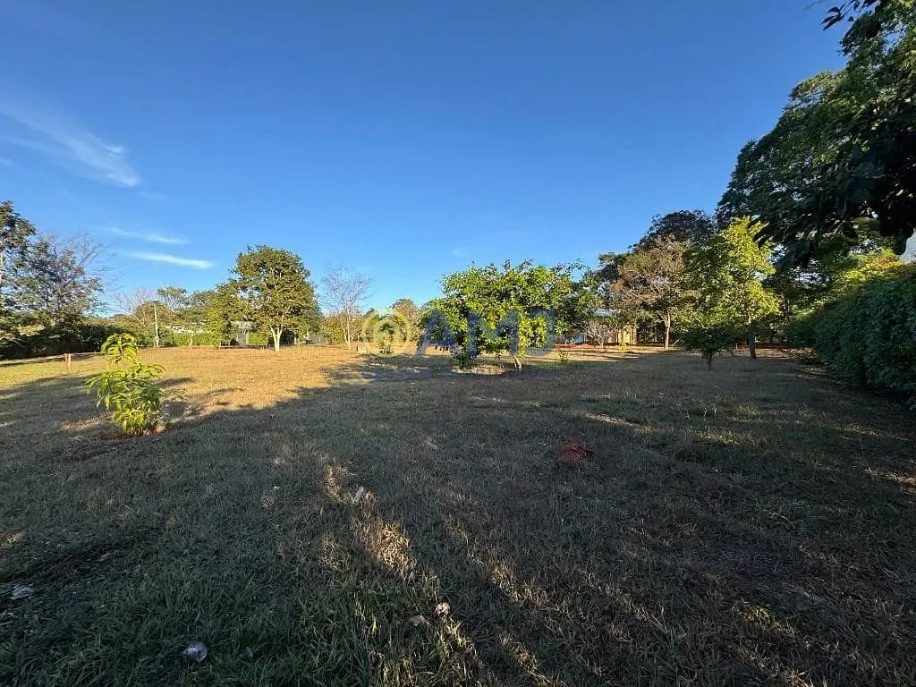 Sítio, 4 quartos, 5053 m² - Foto 15