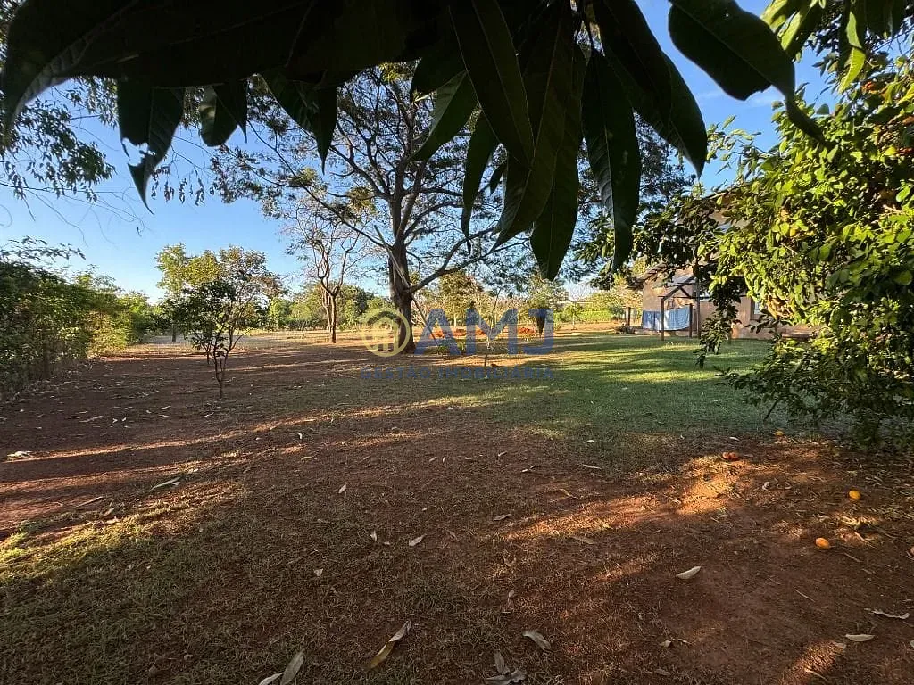 Sítio, 4 quartos, 5053 m² - Foto 18