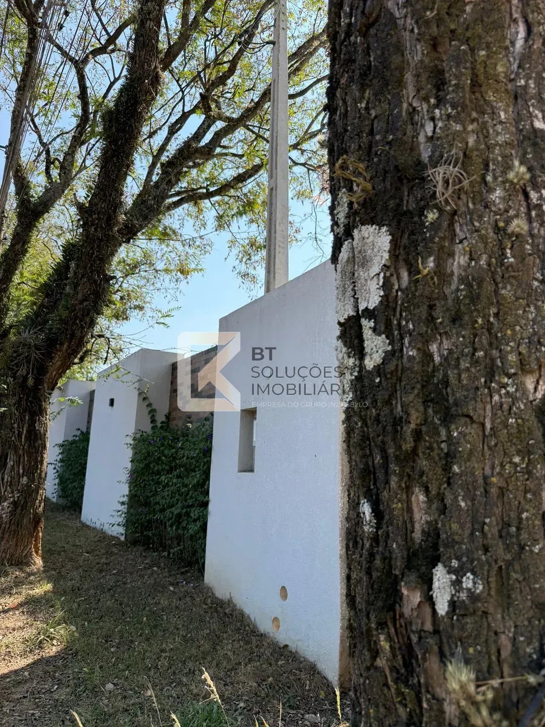 Sítio, 3 quartos, 1000 m² - Foto 8