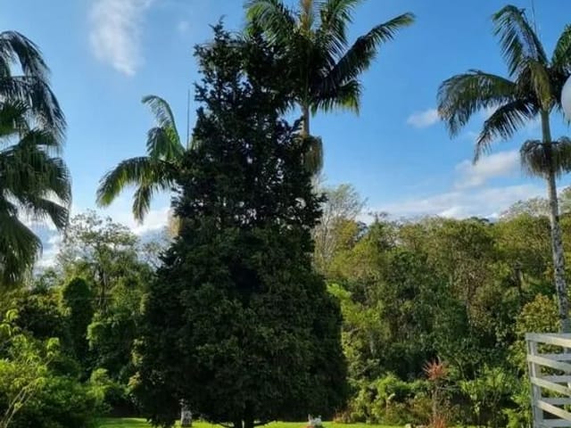 Chácara com 16000m² 8 quartos e 6 banheiros, à venda, no bairro Centro em Ibiúna