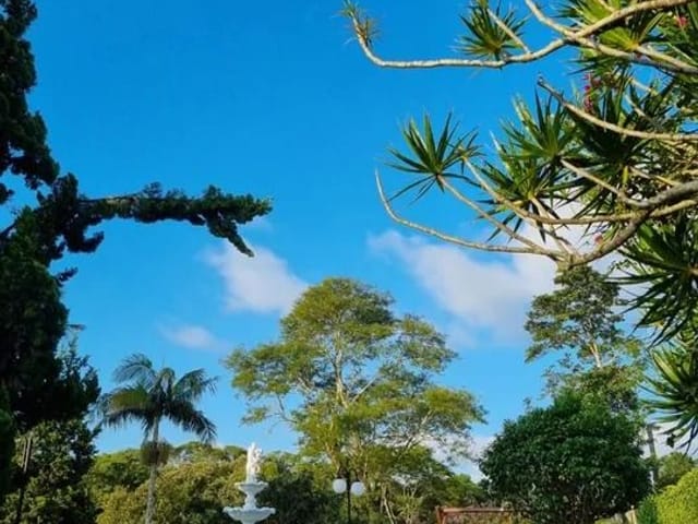 Chácara com 16000m² 8 quartos e 6 banheiros, à venda, no bairro Centro em Ibiúna