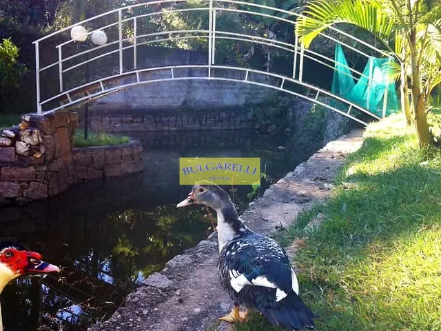 Chácara com 4247m² 4 quartos e 9 banheiros, à venda ou para alugar, no bairro colonia em Jundiaí