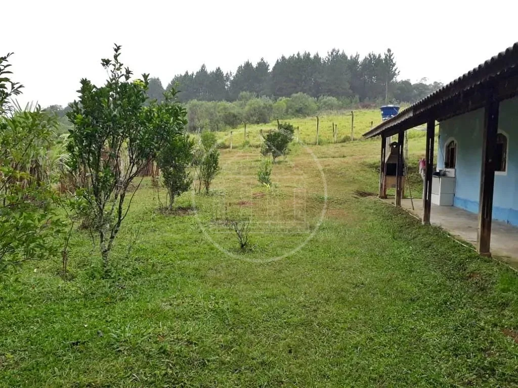Sítio, 5 quartos, 5000 m² - Foto 9
