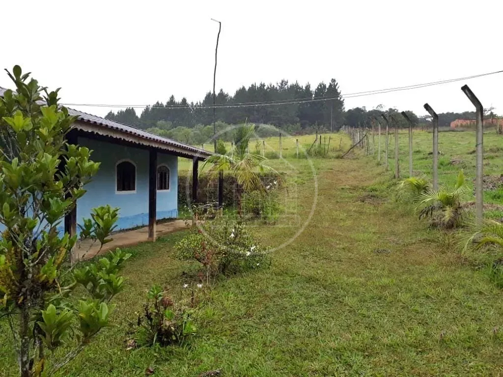 Sítio, 5 quartos, 5000 m² - Foto 8