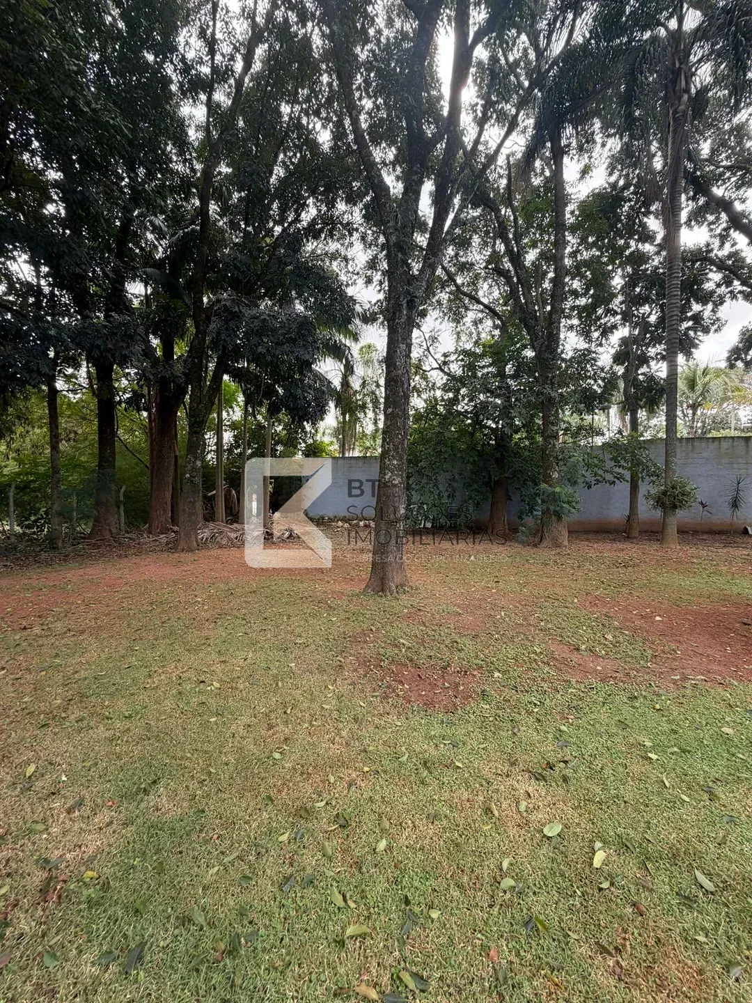 Sítio, 4 quartos, 10 m² - Foto 61