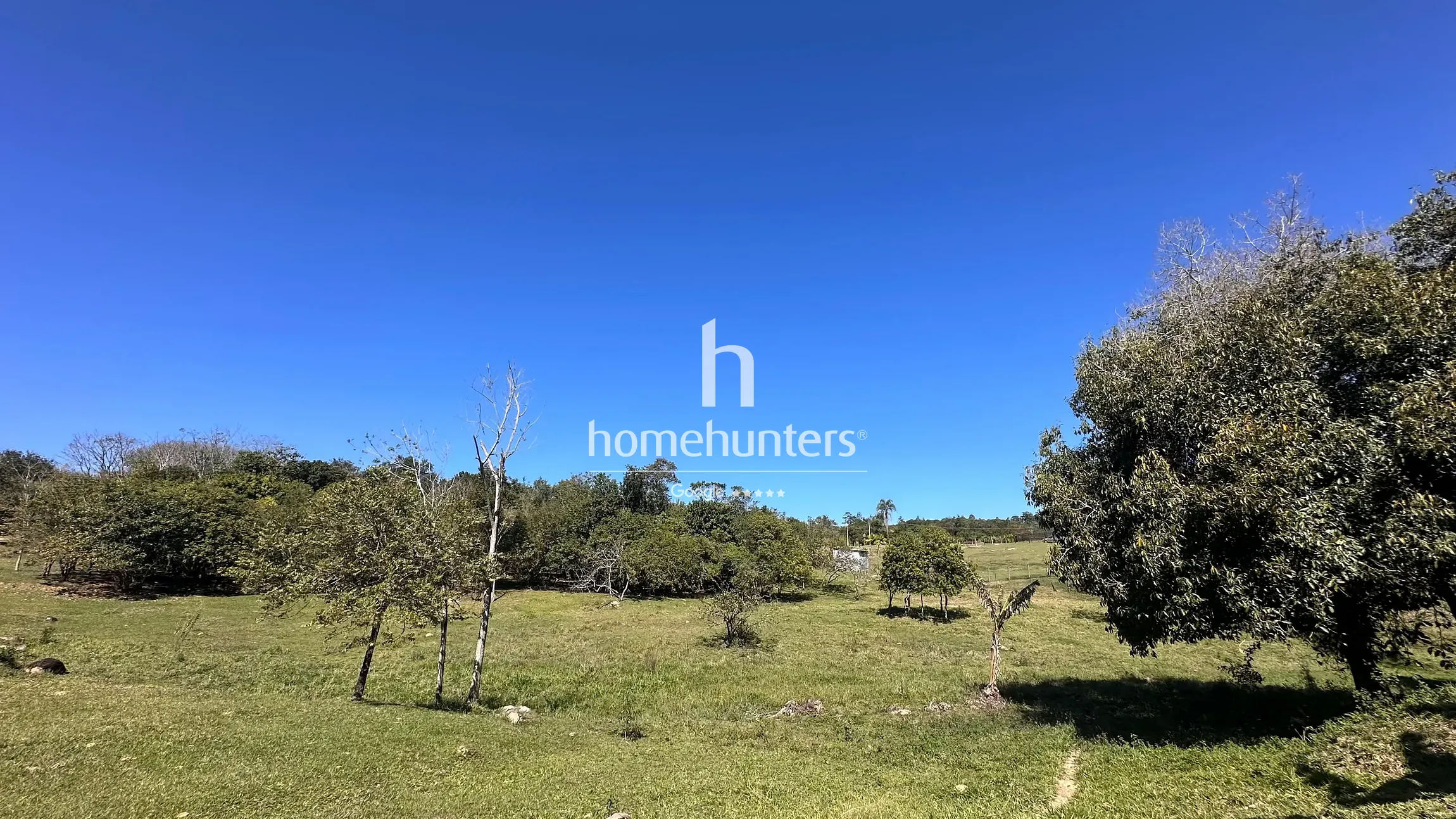 Chácara, 3 quartos, 3 hectares - Foto 46