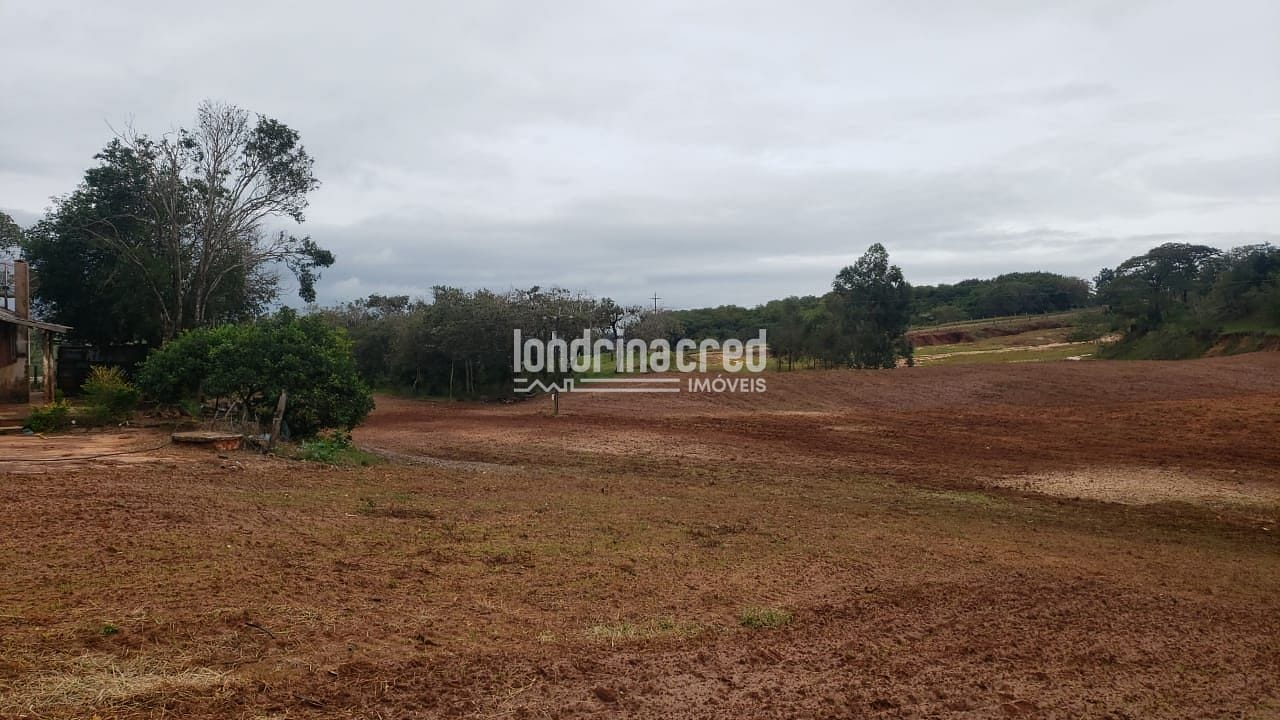 Sítio, 1 quarto, 12 hectares - Foto 3