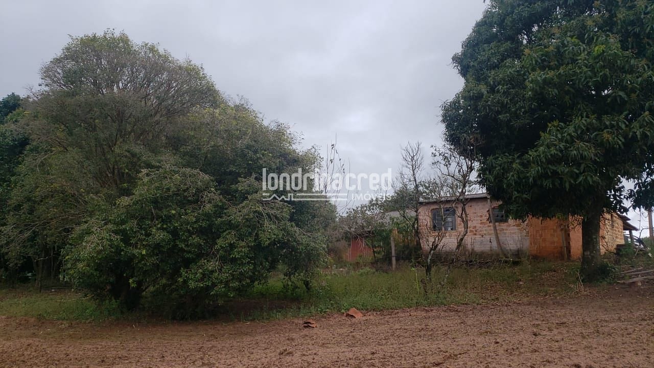 Sítio, 1 quarto, 12 hectares - Foto 5