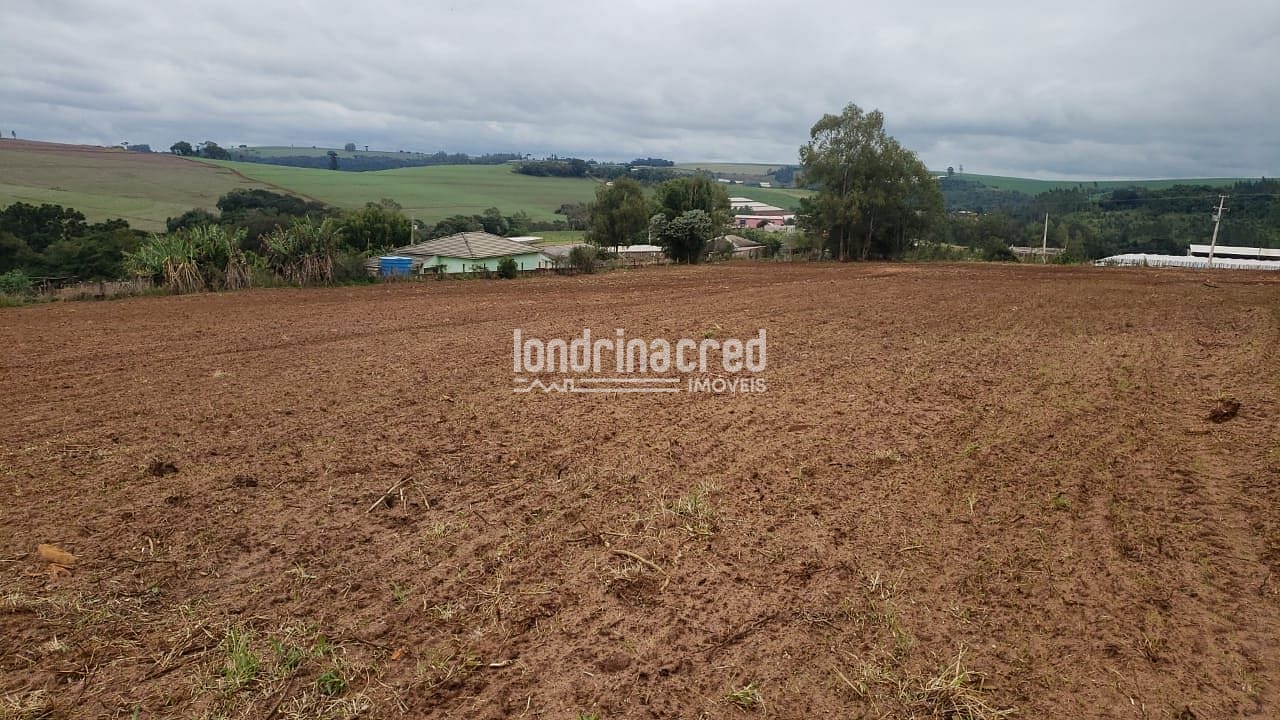 Sítio, 1 quarto, 12 hectares - Foto 1