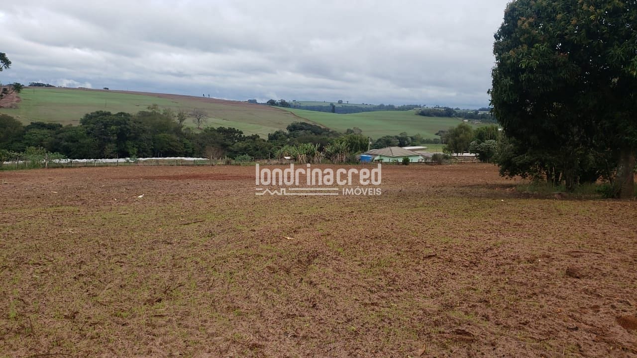 Sítio, 1 quarto, 12 hectares - Foto 2