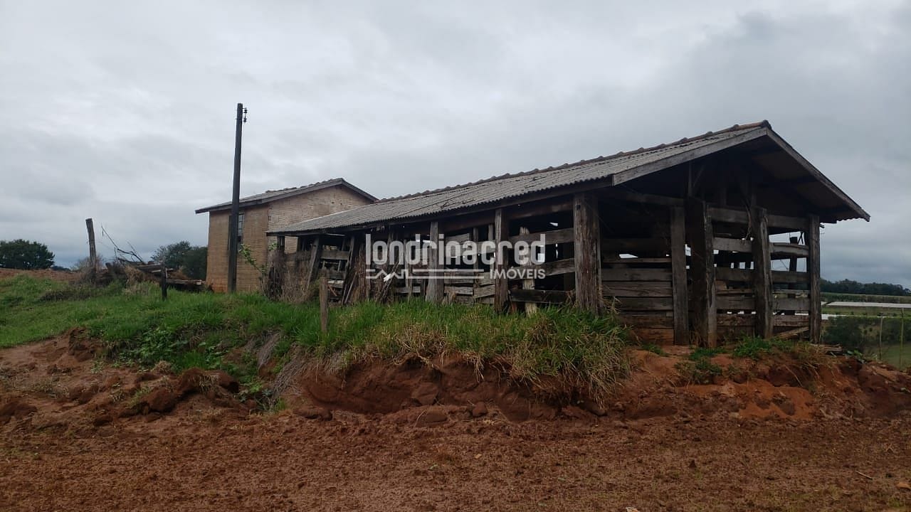 Sítio, 1 quarto, 12 hectares - Foto 4