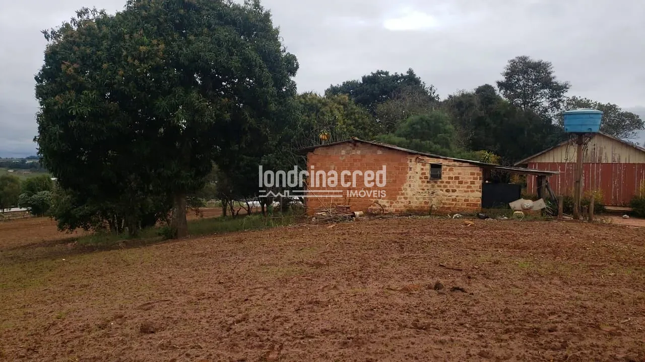 Sítio, 1 quarto, 12 hectares - Foto 8