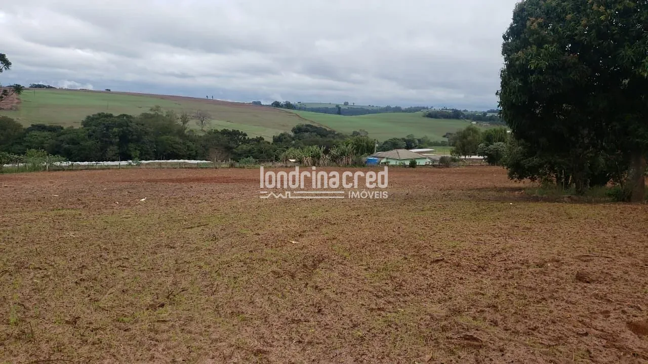 Sítio, 1 quarto, 12 hectares - Foto 2