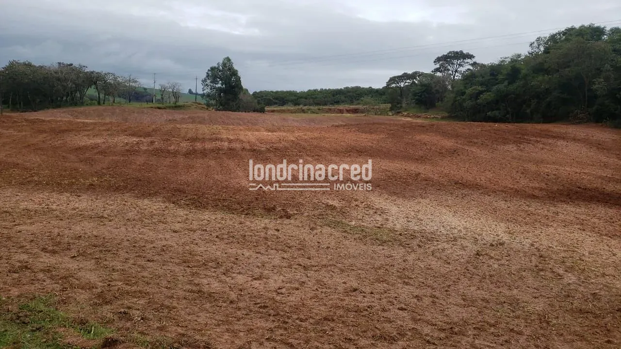 Sítio, 1 quarto, 12 hectares - Foto 7