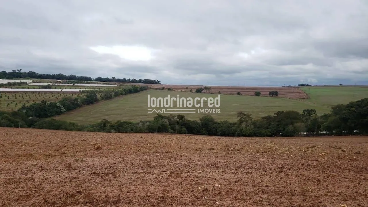 Sítio, 1 quarto, 12 hectares - Foto 14