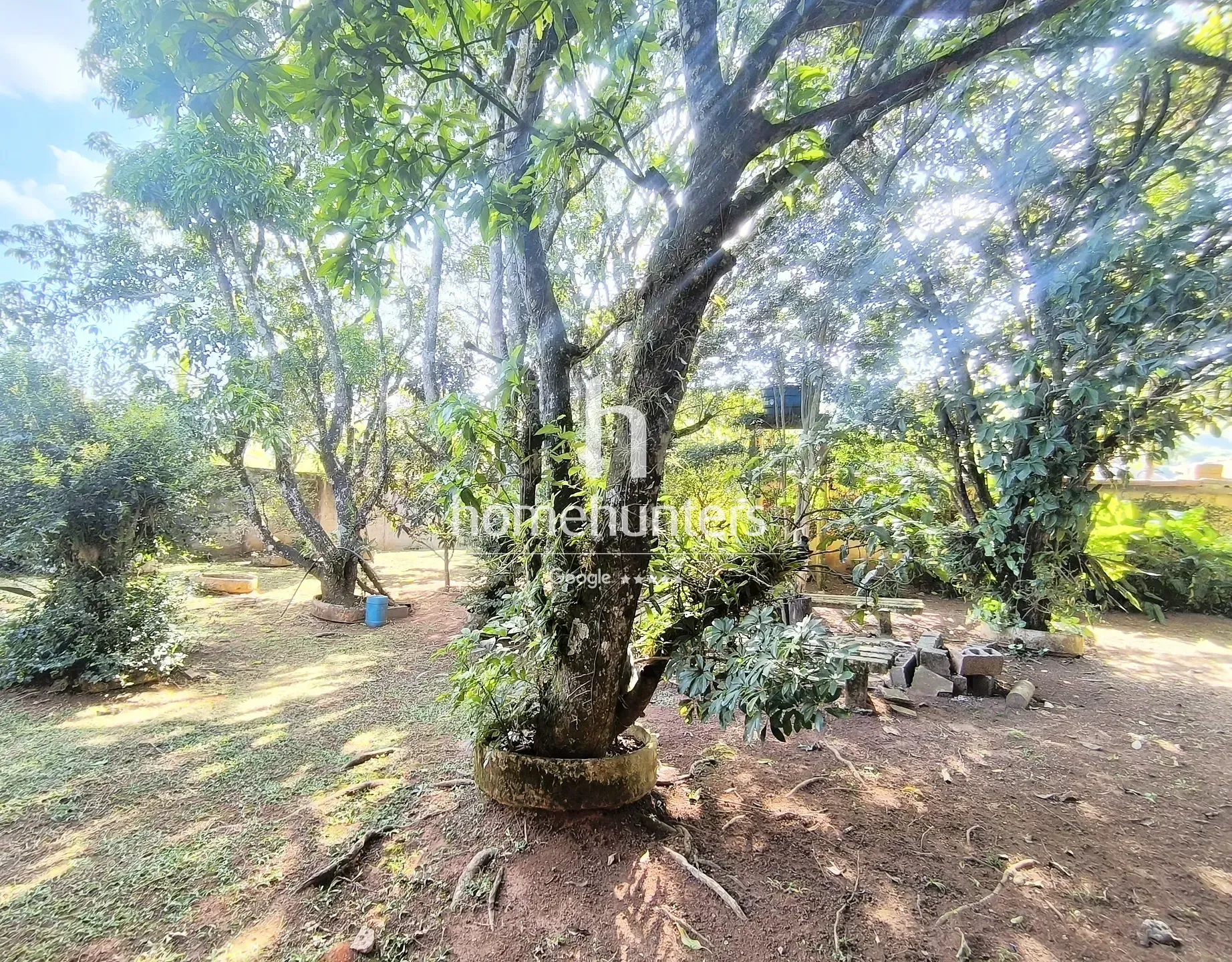 Chácara, 3 quartos, 3000 m² - Foto 48