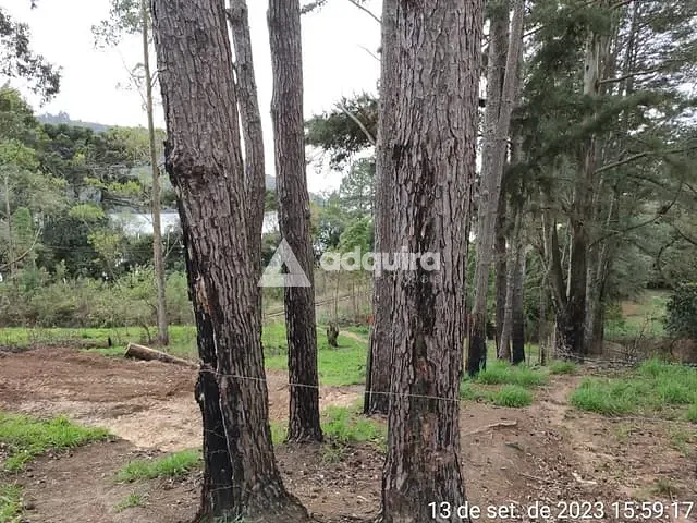 Chácara com 3943m² 1 quarto e 1 banheiro, à venda, no bairro Centro em Ponta Grossa