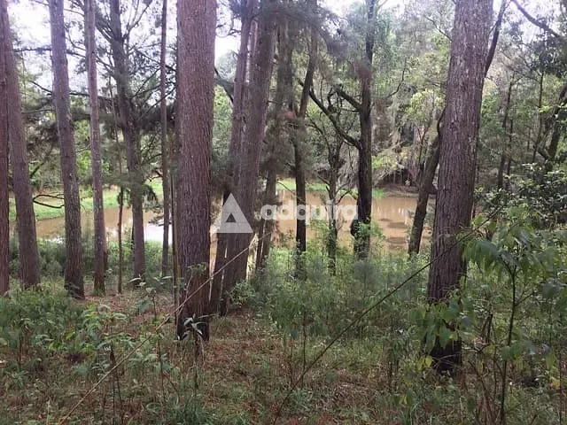 Chácara com 3943m² 1 quarto e 1 banheiro, à venda, no bairro Centro em Ponta Grossa