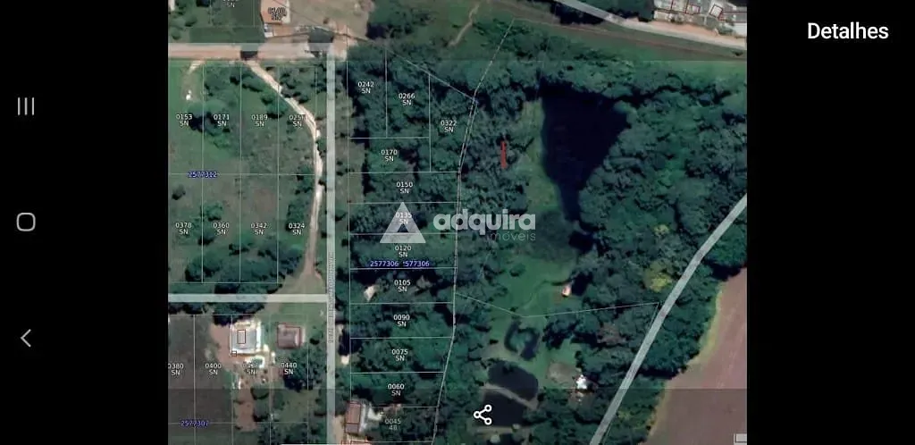 Chácara, 1 quarto, 3943 m² - Foto 12