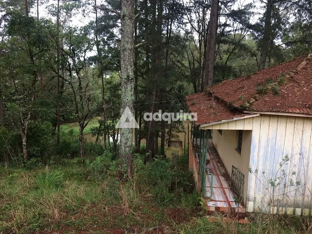 Chácara, 1 quarto, 3943 m² - Foto 5