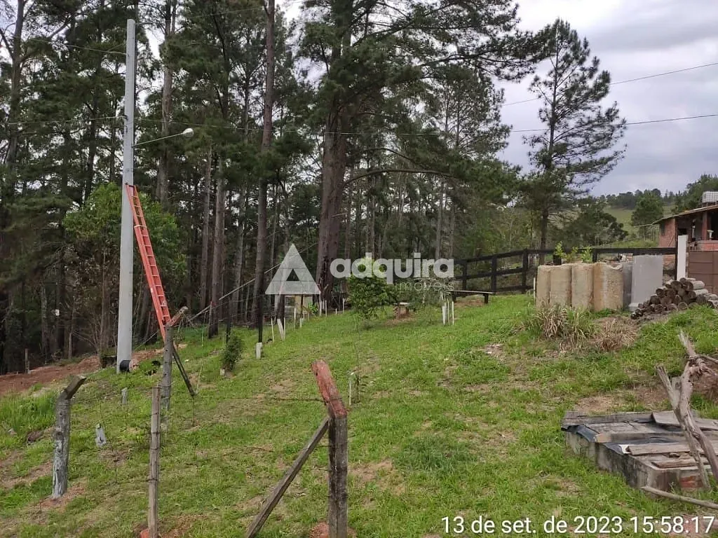 Chácara, 1 quarto, 3943 m² - Foto 6