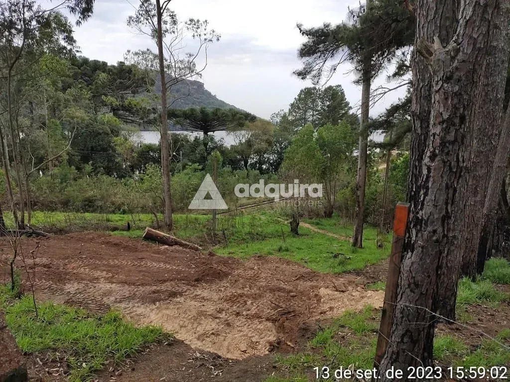 Chácara, 1 quarto, 3943 m² - Foto 7